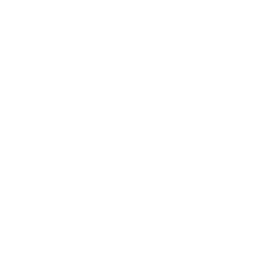 Facebook Ads Ico