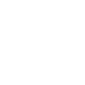 Formazione Ico